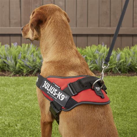 Julius k9 harness. Things To Know About Julius k9 harness. 